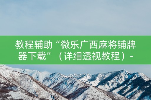 教程辅助“微乐广西麻将铺牌器下载”（详细透视教程）-哔哩哔哩