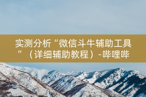 实测分析“微信斗牛辅助工具”（详细辅助教程）-哔哩哔哩