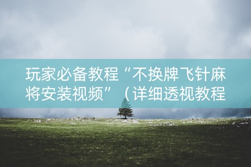 玩家必备教程“不换牌飞针麻将安装视频”（详细透视教程）-哔哩哔哩