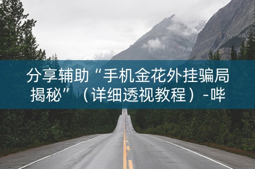 分享辅助“手机金花外挂骗局揭秘”（详细透视教程）-哔哩哔哩