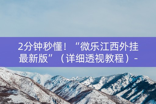 2分钟秒懂！“微乐江西外挂最新版”（详细透视教程）-哔哩哔哩