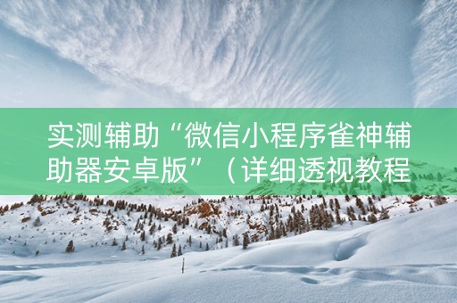 实测辅助“微信小程序雀神辅助器安卓版”（详细透视教程）-哔哩哔哩