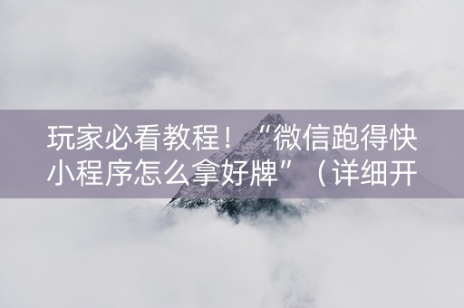 玩家必看教程！“微信跑得快小程序怎么拿好牌”（详细开挂教程）-哔哩哔哩