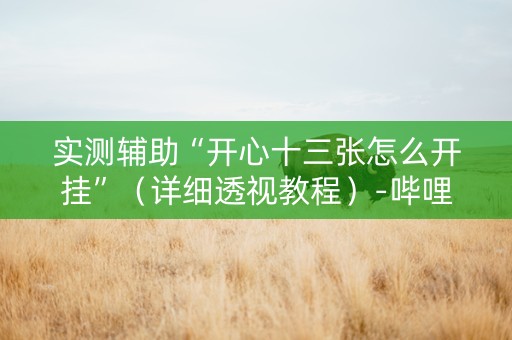 实测辅助“开心十三张怎么开挂”（详细透视教程）-哔哩哔哩