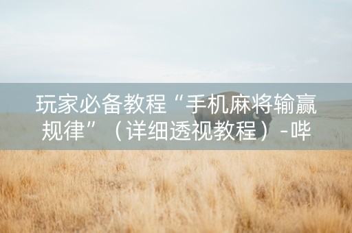 玩家必备教程“手机麻将输赢规律”（详细透视教程）-哔哩哔哩