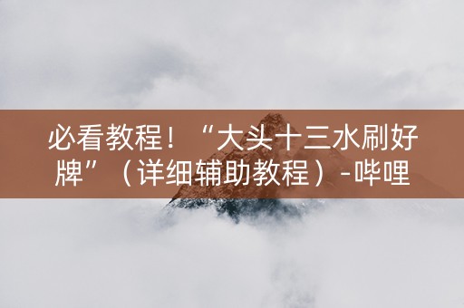 必看教程！“大头十三水刷好牌”（详细辅助教程）-哔哩哔哩