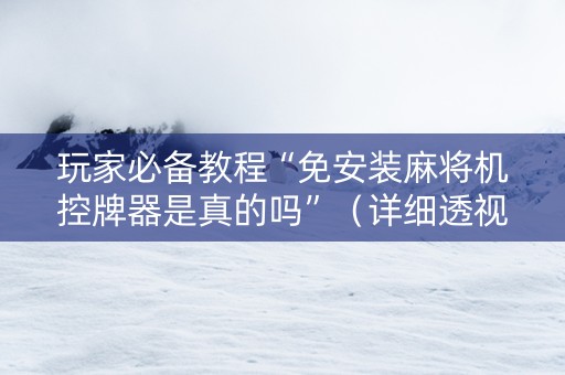 玩家必备教程“免安装麻将机控牌器是真的吗”（详细透视教程）-哔哩哔哩