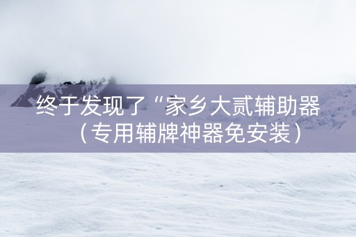 终于发现了“家乡大贰辅助器（专用辅牌神器免安装）
