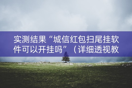 实测结果“城信红包扫尾挂软件可以开挂吗”（详细透视教程）-哔哩哔哩