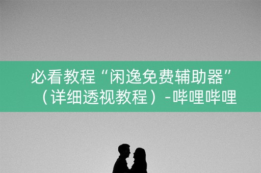 必看教程“闲逸免费辅助器”（详细透视教程）-哔哩哔哩