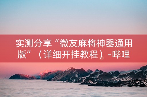 实测分享“微友麻将神器通用版”（详细开挂教程）-哔哩哔哩
