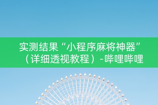 实测结果“小程序麻将神器”（详细透视教程）-哔哩哔哩