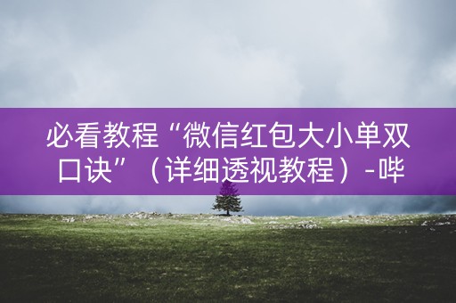 必看教程“微信红包大小单双口诀”（详细透视教程）-哔哩哔哩