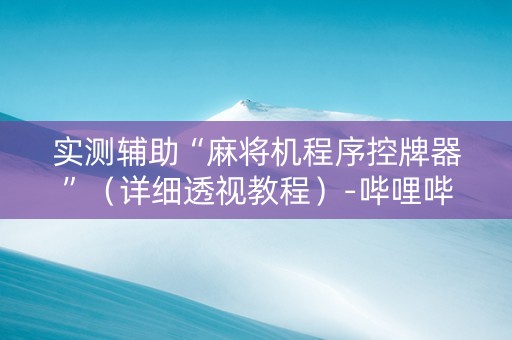 实测辅助“麻将机程序控牌器”（详细透视教程）-哔哩哔哩