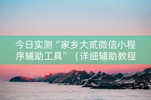 今日实测“家乡大贰微信小程序辅助工具”（详细辅助教程）-哔哩哔哩