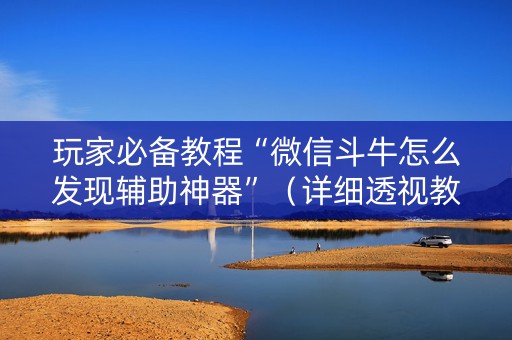 玩家必备教程“微信斗牛怎么发现辅助神器”（详细透视教程）-哔哩哔哩