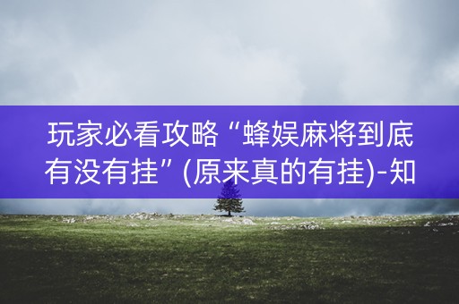 玩家必看攻略“蜂娱麻将到底有没有挂”(原来真的有挂)-知乎