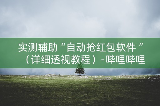 实测辅助“自动抢红包软件 ”（详细透视教程）-哔哩哔哩