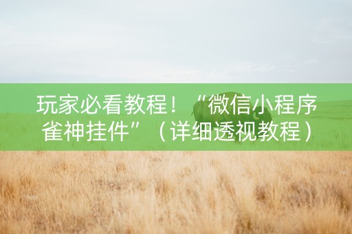玩家必看教程！“微信小程序雀神挂件”（详细透视教程）-哔哩哔哩