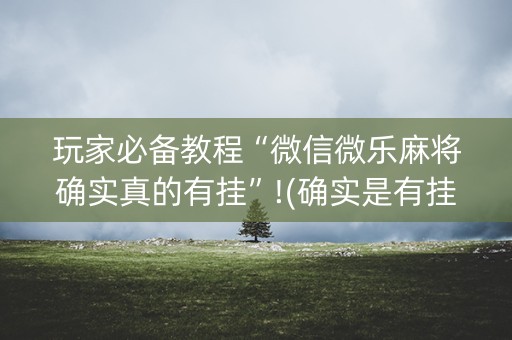 玩家必备教程“微信微乐麻将确实真的有挂”!(确实是有挂)-知乎