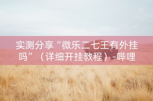 实测分享“微乐二七王有外挂吗”（详细开挂教程）-哔哩哔哩