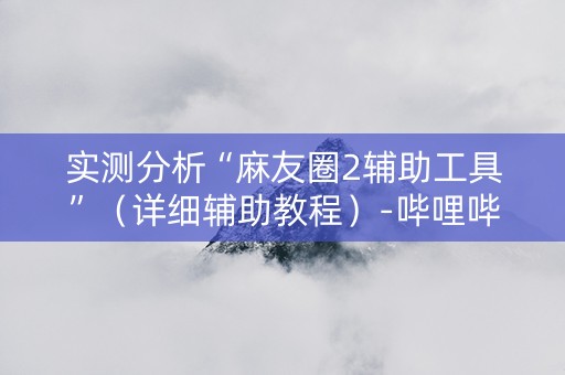 实测分析“麻友圈2辅助工具”（详细辅助教程）-哔哩哔哩