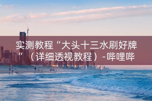 实测教程“大头十三水刷好牌”（详细透视教程）-哔哩哔哩