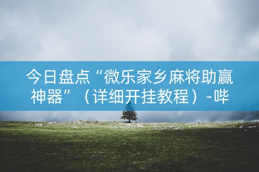 今日盘点“微乐家乡麻将助赢神器”（详细开挂教程）-哔哩哔哩