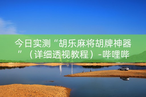 今日实测“胡乐麻将胡牌神器”（详细透视教程）-哔哩哔哩