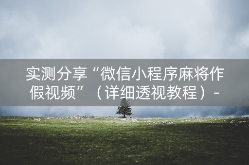 实测分享“微信小程序麻将作假视频”（详细透视教程）-哔哩哔哩