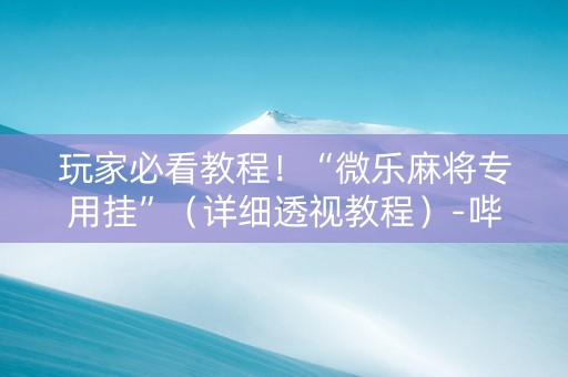 玩家必看教程！“微乐麻将专用挂”（详细透视教程）-哔哩哔哩