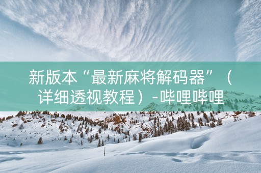 新版本“最新麻将解码器”（详细透视教程）-哔哩哔哩