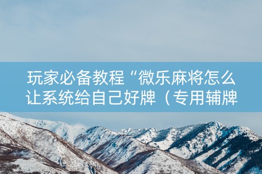 玩家必备教程“微乐麻将怎么让系统给自己好牌（专用辅牌神器免安装）