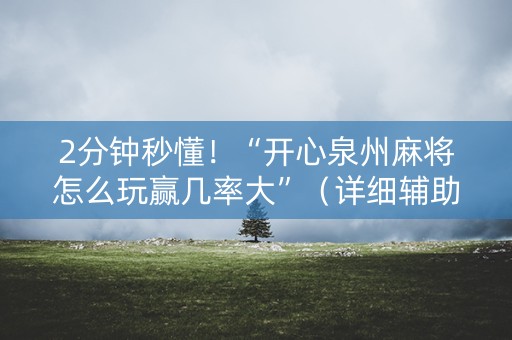 2分钟秒懂！“开心泉州麻将怎么玩赢几率大”（详细辅助教程）-哔哩哔哩