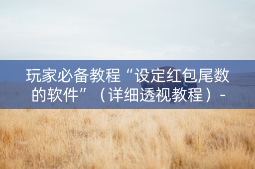 玩家必备教程“设定红包尾数的软件”（详细透视教程）-哔哩哔哩