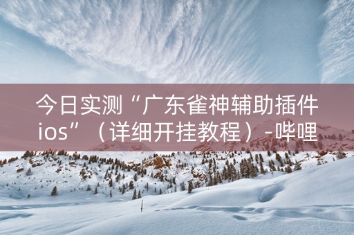 今日实测“广东雀神辅助插件ios”（详细开挂教程）-哔哩哔哩