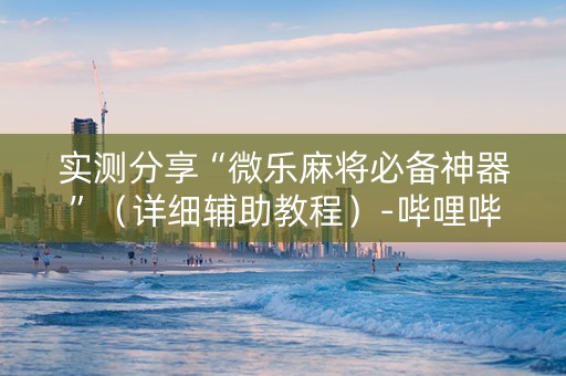 实测分享“微乐麻将必备神器”（详细辅助教程）-哔哩哔哩