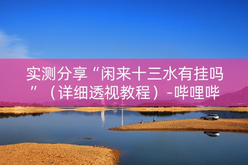 实测分享“闲来十三水有挂吗”（详细透视教程）-哔哩哔哩