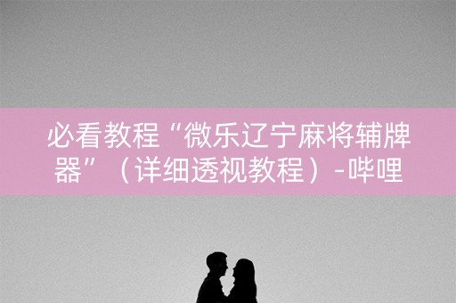 必看教程“微乐辽宁麻将辅牌器”（详细透视教程）-哔哩哔哩