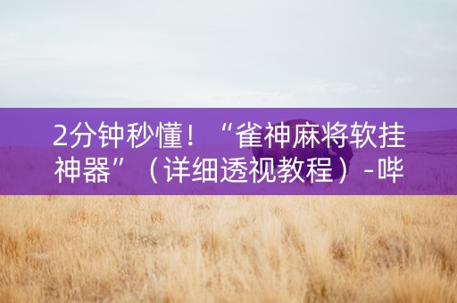 2分钟秒懂！“雀神麻将软挂神器”（详细透视教程）-哔哩哔哩