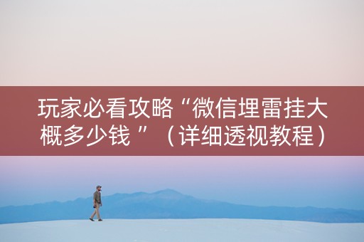 玩家必看攻略“微信埋雷挂大概多少钱 ”（详细透视教程）-哔哩哔哩