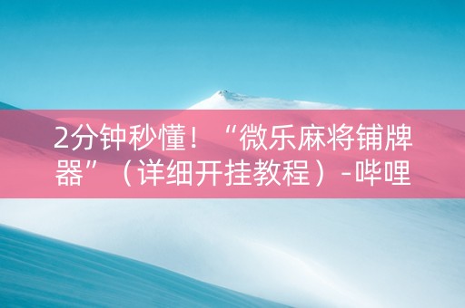 2分钟秒懂！“微乐麻将铺牌器”（详细开挂教程）-哔哩哔哩