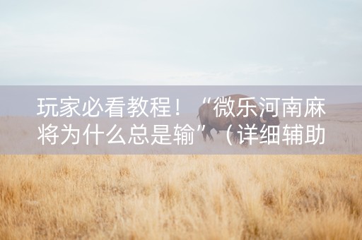 玩家必看教程！“微乐河南麻将为什么总是输”（详细辅助教程）-哔哩哔哩