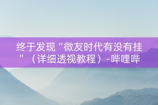 终于发现“微友时代有没有挂”（详细透视教程）-哔哩哔哩