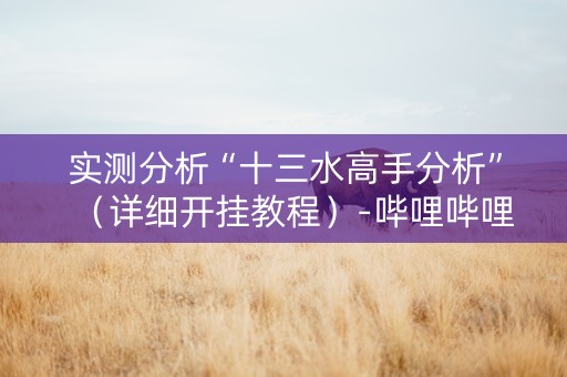 实测分析“十三水高手分析”（详细开挂教程）-哔哩哔哩