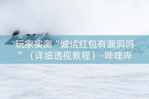 玩家实测“诚信红包有漏洞吗”（详细透视教程）-哔哩哔哩