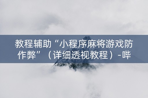 教程辅助“小程序麻将游戏防作弊”（详细透视教程）-哔哩哔哩