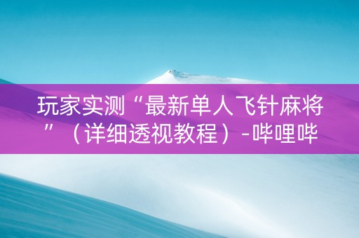 玩家实测“最新单人飞针麻将”（详细透视教程）-哔哩哔哩