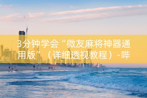 3分钟学会“微友麻将神器通用版”（详细透视教程）-哔哩哔哩