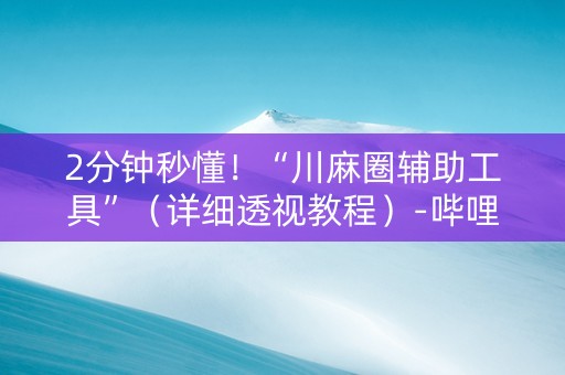 2分钟秒懂！“川麻圈辅助工具”（详细透视教程）-哔哩哔哩
